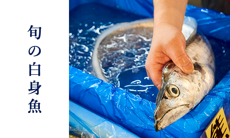 豊洲で高品質のウニや白身魚 貝類を適正価格で